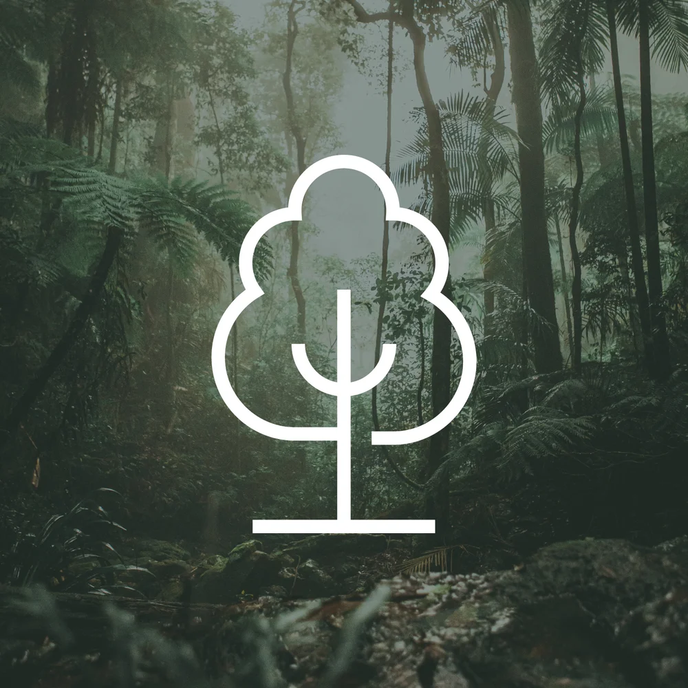 1 Tree Planted via THG (More Trees) Image 1